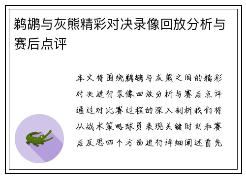 鹈鹕与灰熊精彩对决录像回放分析与赛后点评