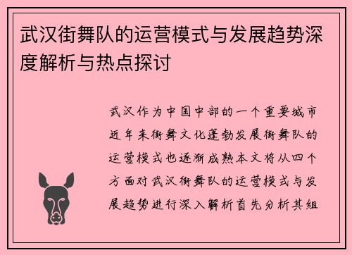 武汉街舞队的运营模式与发展趋势深度解析与热点探讨